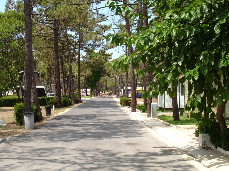فندق Parque De Campismo Orbitur Gala فيغيورا دا فوز المظهر الخارجي الصورة
